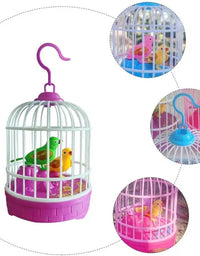 Singing Chirping Hanging Parrots In Cage Toy For Kids - 1 Piece Assorted
