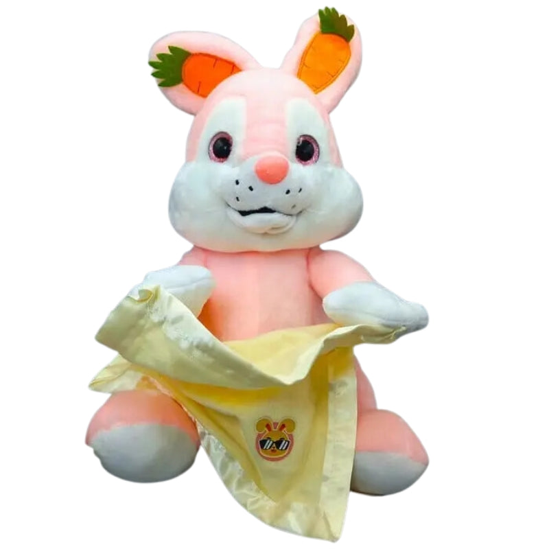 Cute And Extra Soft Peek-a-Boo Rabbit Toy For Kids