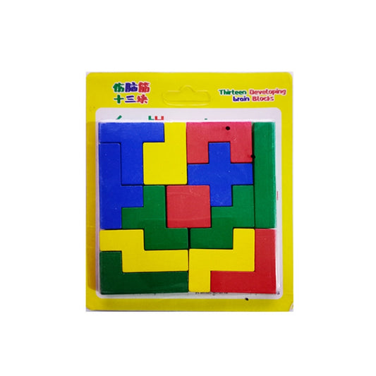13in1 Developing Brain Puzzle Set for Kids