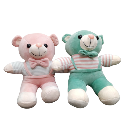 Cute Teddy Bear Plush Toys Pair – Soft Stuffed (Assorted)