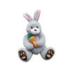 Cute Plush Bunny Rabbit Toy with Toy Carrot – Soft Stuffed Animal
