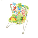 Baby Bouncer & Rocker With Calming Vibration