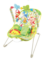 Baby Bouncer & Rocker With Calming Vibration
