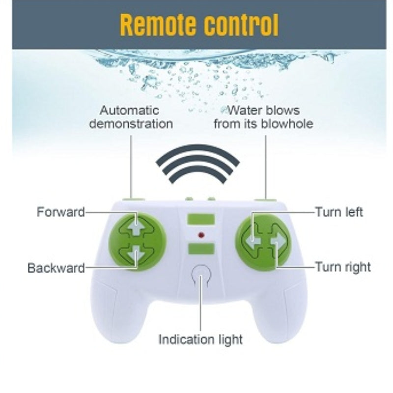 Remote Control Dolphin For Kids