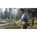 Red Dead Redemption 2 Special Edition (PS4)