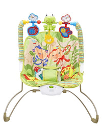 Baby Bouncer & Rocker With Calming Vibration
