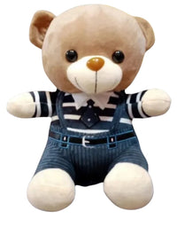 Cute Teddy Bear With Jacket Stuff Toy
