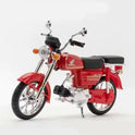 Rev Up The Fun- Diecast Motorcycle Model Toy