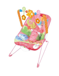 Baby Bouncer & Rocker With Calming Vibration
