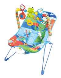 Baby Bouncer & Rocker With Calming Vibration
