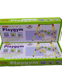 Baby Activity Rattle PlayGym
