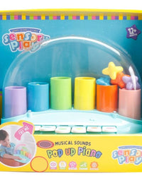 Pop-Up Piano Musical Toy
