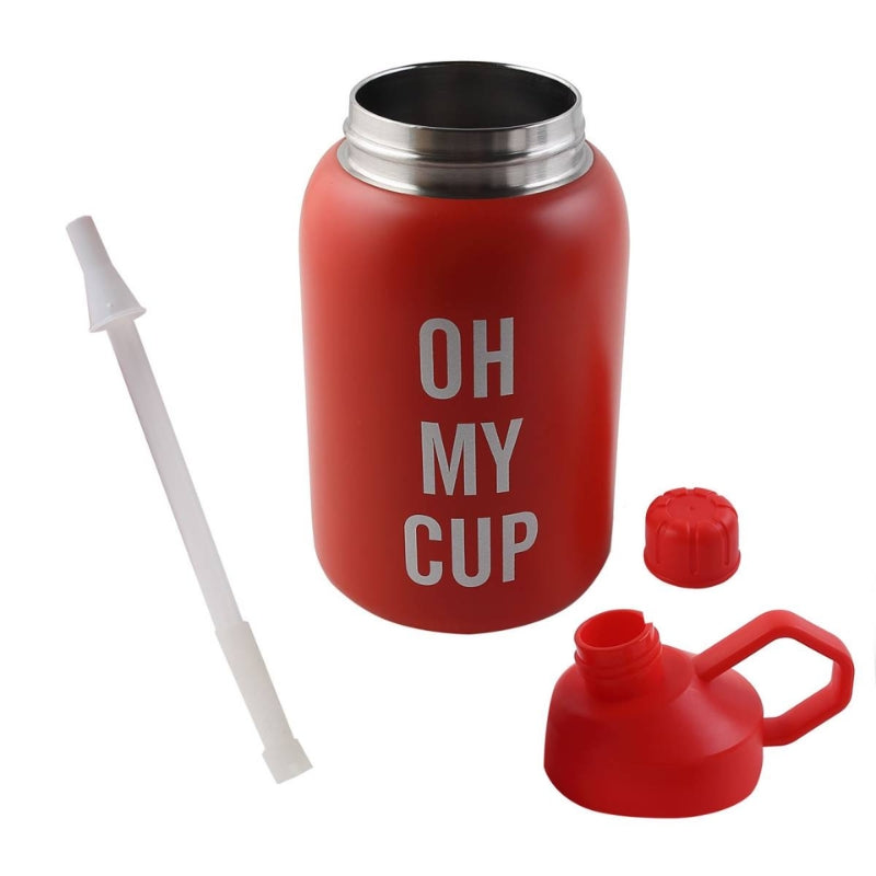 Oh My Cup Metal Water Bottle With Sipper (CY-055)