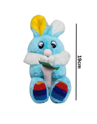 Cute Blue Rabbit Stuff Toy 18Cm Premium Pre-loved
