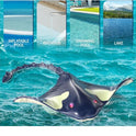 RC water Proof Manta Ray 360 Rotate For Kids