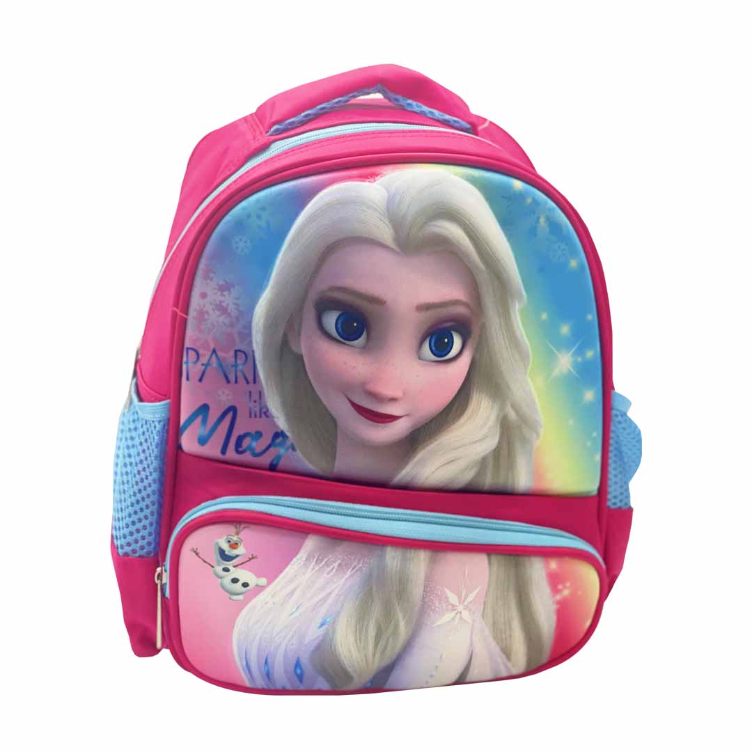 Frozen Theme School Bag