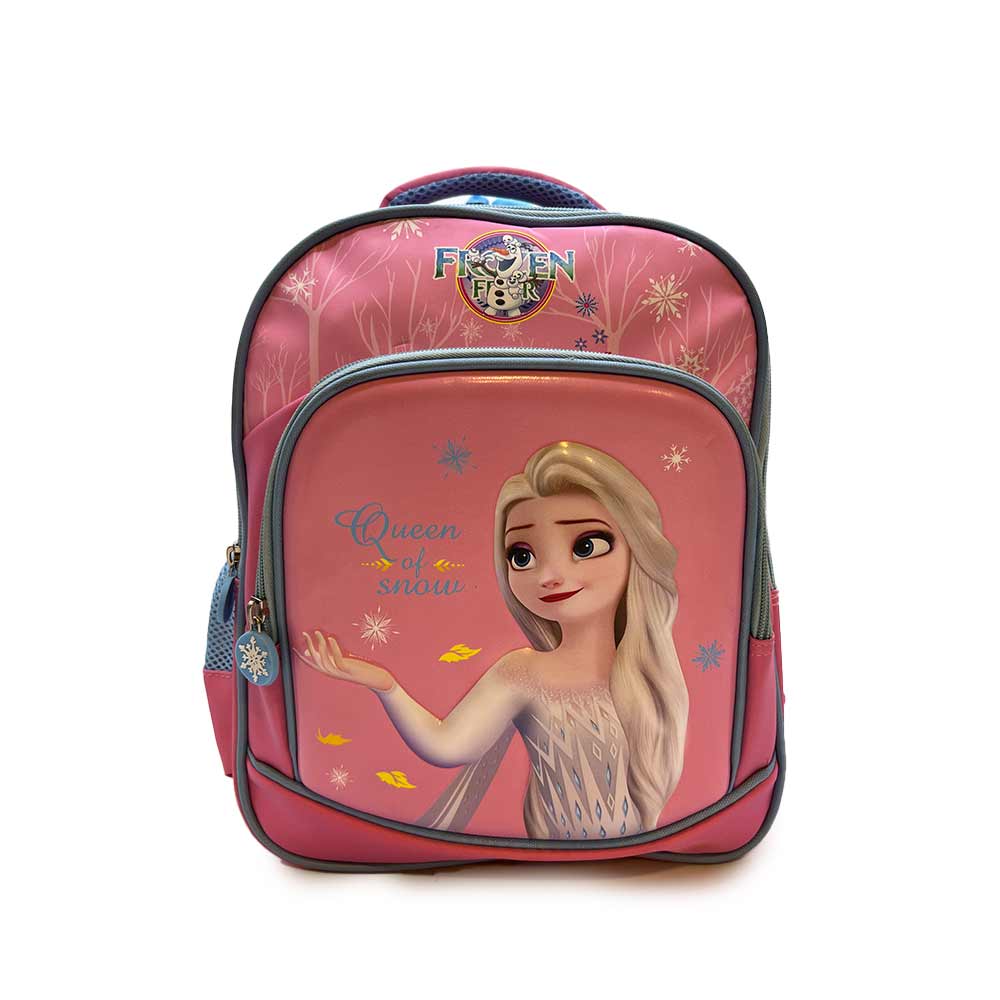 3D Frozen School Bag Small