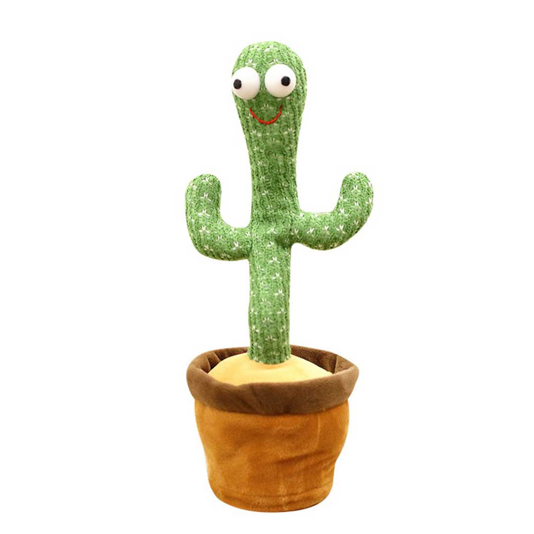 Dancing Cactus