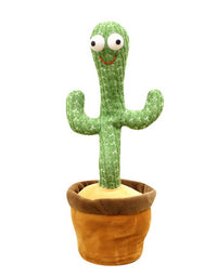 Dancing Cactus
